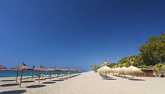 Costa del Sol beaches fly the flag for excellence and quality