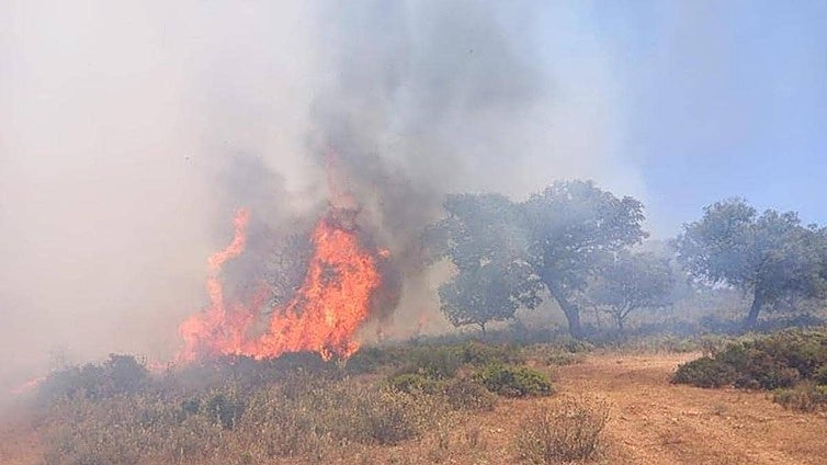 Suspect, 67, in custody in connection with Costa del Sol forest fire