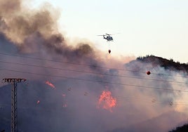 Helicopters have been working to extinguish the forest fire.