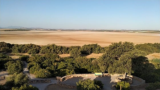 Drought crisis leaves Fuente de Piedra lake with no flamingos to ring again