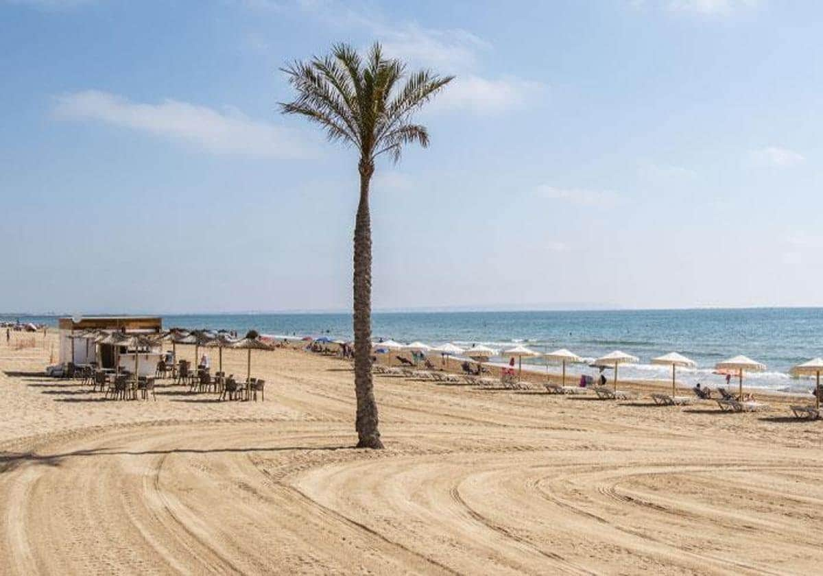 Married couple die on Costa Blanca beach after the woman rushed to aid ...