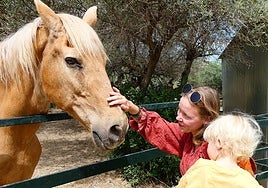 ARCH silent art auction fundraising event in Mijas Pueblo