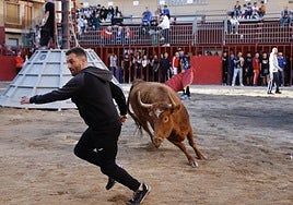 Animal rights party in Almeria calls for cancellation of event that involves letting young cows loose in the streets