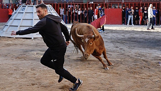 Animal rights party in Almeria calls for cancellation of event that involves letting young cows loose in the streets