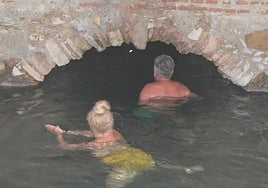 The baths at La Hedionda in Casares and Vilo in Periana are both free entry.