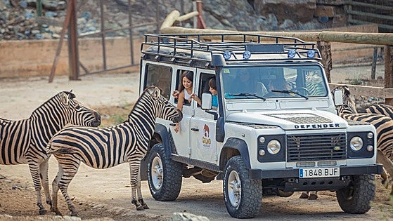 Theme parks on the Costa del Sol: the winning formula that never fails