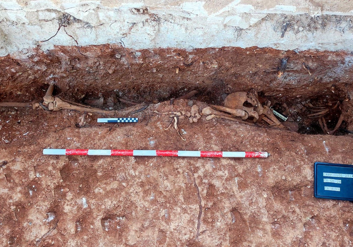 Some of the bodies found in the Campillos municipal cemetery.