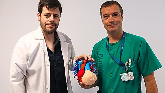 Malaga Regional Hospital reconstructs a patient's heart in 3D