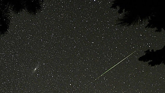 Join an organised walk to see the Perseids meteor shower in Malaga province
