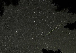 Perseids