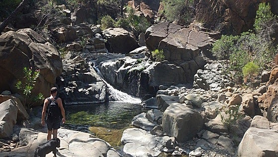 The Padrón and Castor: Estepona's sister rivers that put summer adventurers to the test