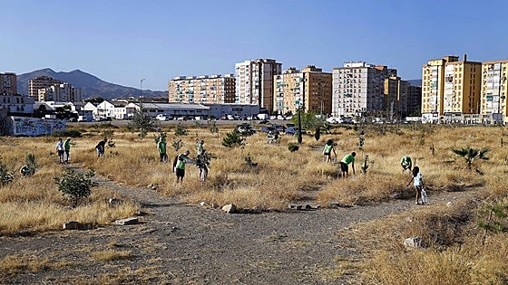 The urban forest that is slowly taking shape in the heart of Malaga