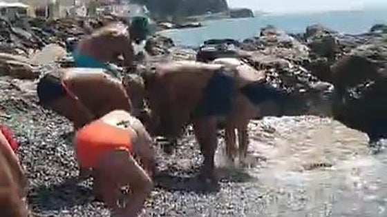 Watch as bathers rush to aid of school of fish on Costa del Sol beach