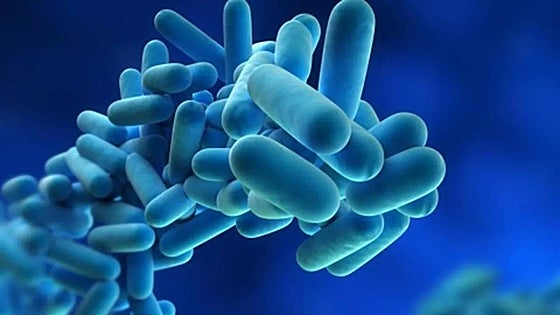 Benalmádena mayor blasts former local government team for not carrying out legionella prevention measures