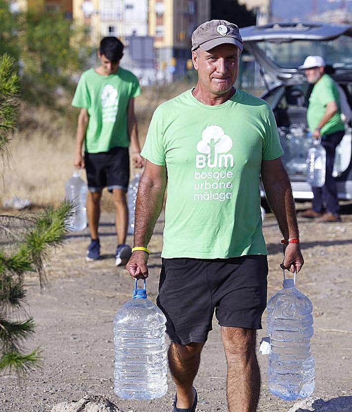 Imagen secundaria 2 - The urban forest that is slowly taking shape in the heart of Malaga