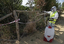 Fumigation work in Puebla del Río, Seville, in areas near the Guadalquivir River, as well as wetlands, to try to prevent the spread of the mosquito that transmits the disease.