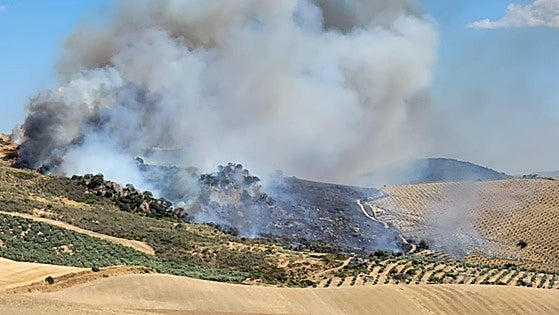 Video: Wildfire declared in north of Malaga province