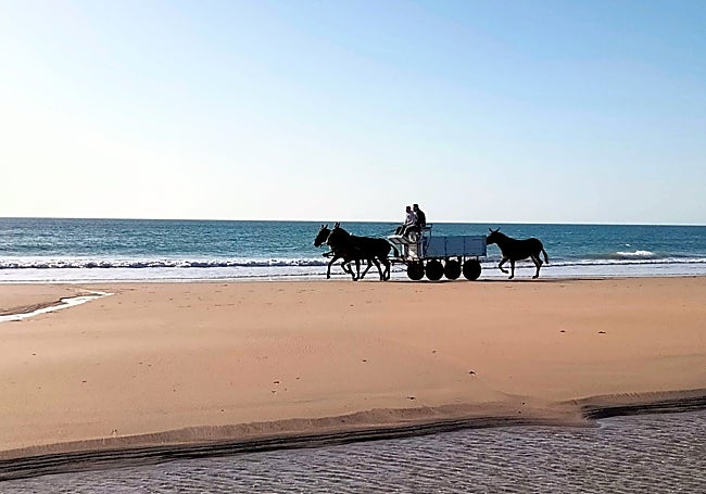 On the Costa de la Luz.