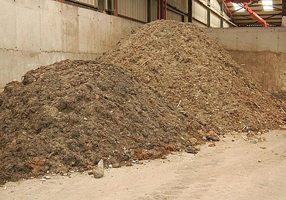 Over 7,200 tonnes of invasive Asian seaweed collected on western Costa del Sol beaches recycled