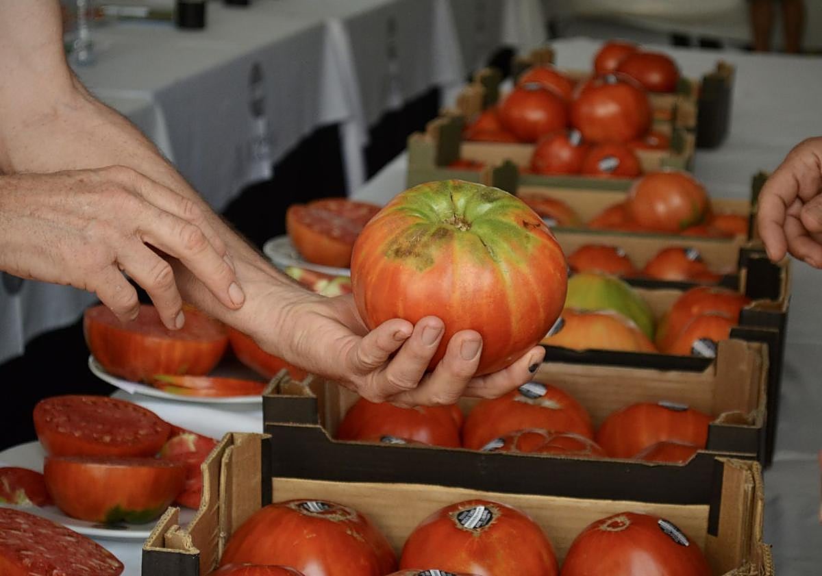 Imagen principal - Best box of enormous 'huevo de toro' tomatoes sell for a record-breaking 6,000 euros, that's no bull