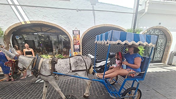 Animal rights group in Mijas to hold protest to demand end of donkey taxi service