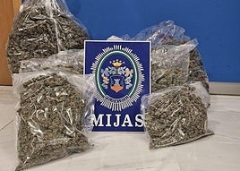 The marijuana seized by Mijas Local Police.