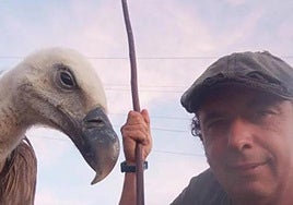 The goat herder in Spain who took a weary griffon vulture under his wing