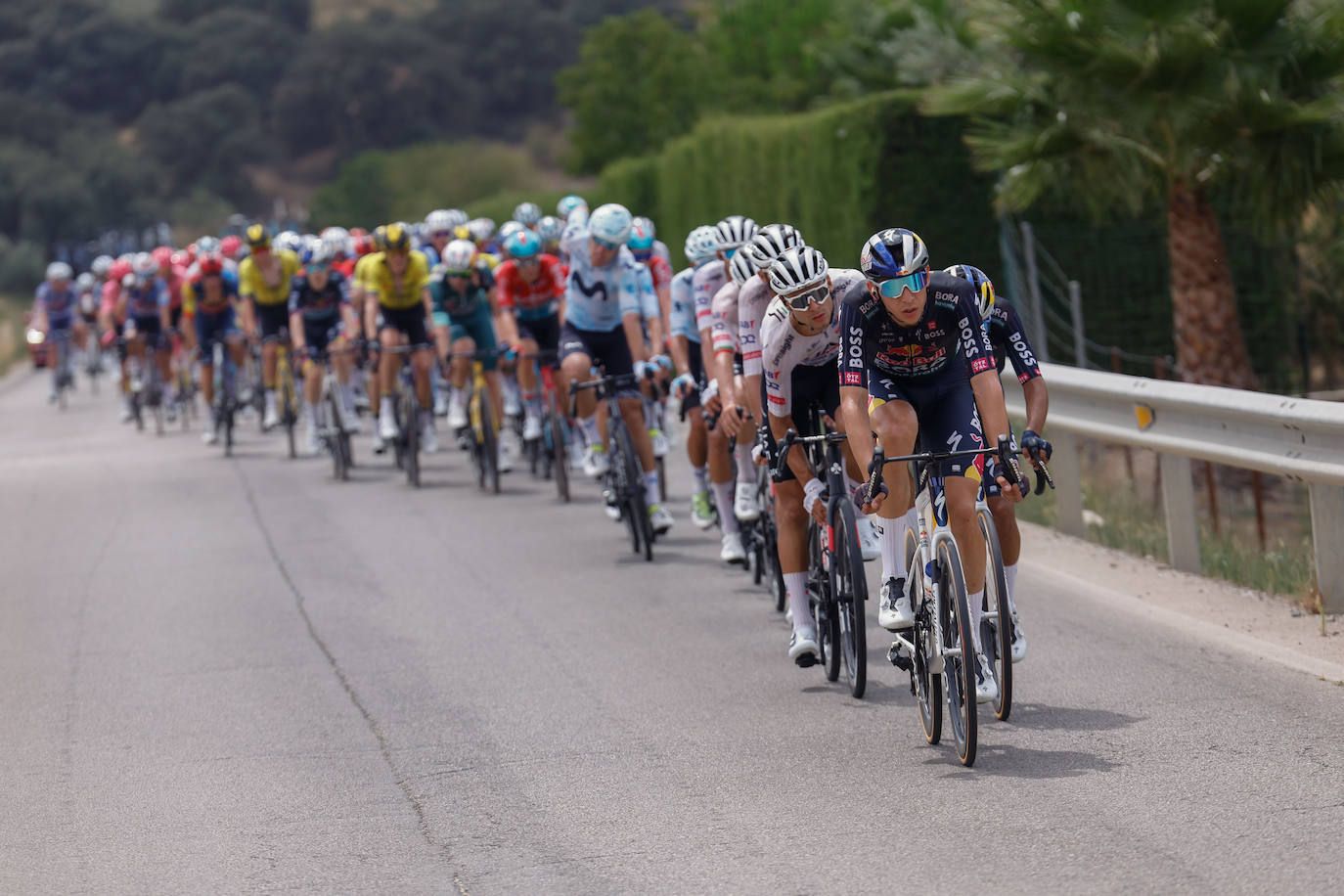 Vuelta a España pro cycle event races through inland Malaga towns and villages, in photos
