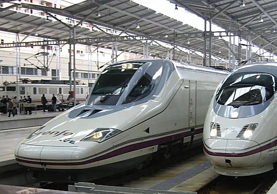 File image of AVE high-speed trains at María Zambrano railway station in Malaga.