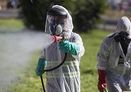 Death toll from West Nile virus in Andalucía rises to five after two new fatalities