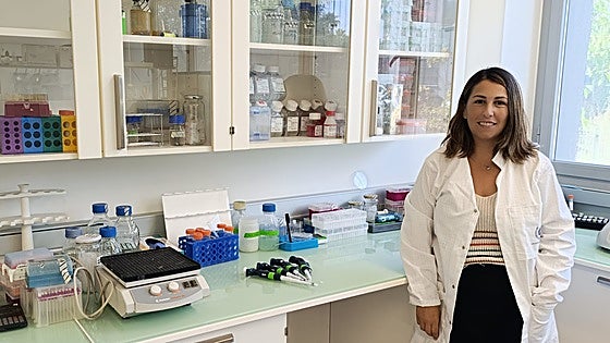 Malaga researchers discover mechanism that regenerates coronary arteries after heart attack