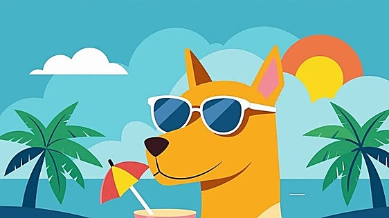 From wineries to rafting and water parks... these are some of the places where dogs are welcome in Spain