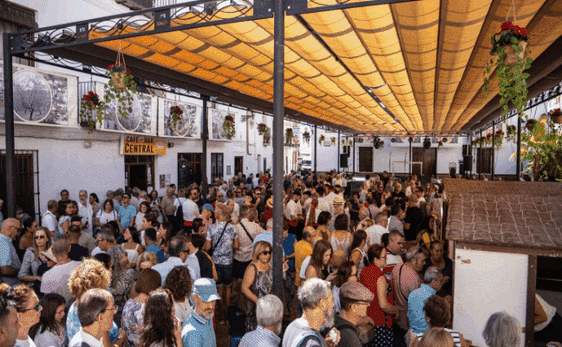 Essential foodie festivals in Malaga province in September