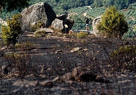 File image of scorched land following a wildfire in Candeleda.