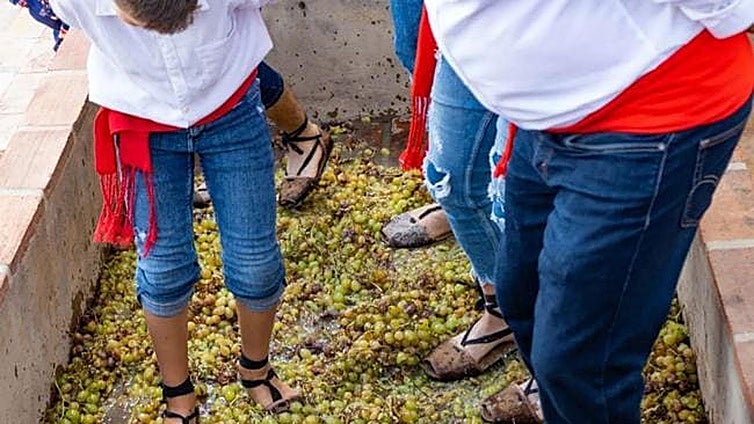 Malaga village gets ready to celebrate traditional grape harvest