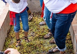 Grape treading in Moclinejo