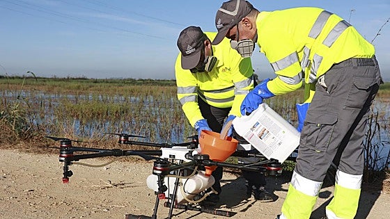 Death toll from the West Nile virus transmitted by mosquito bites rises to six in Andalucía