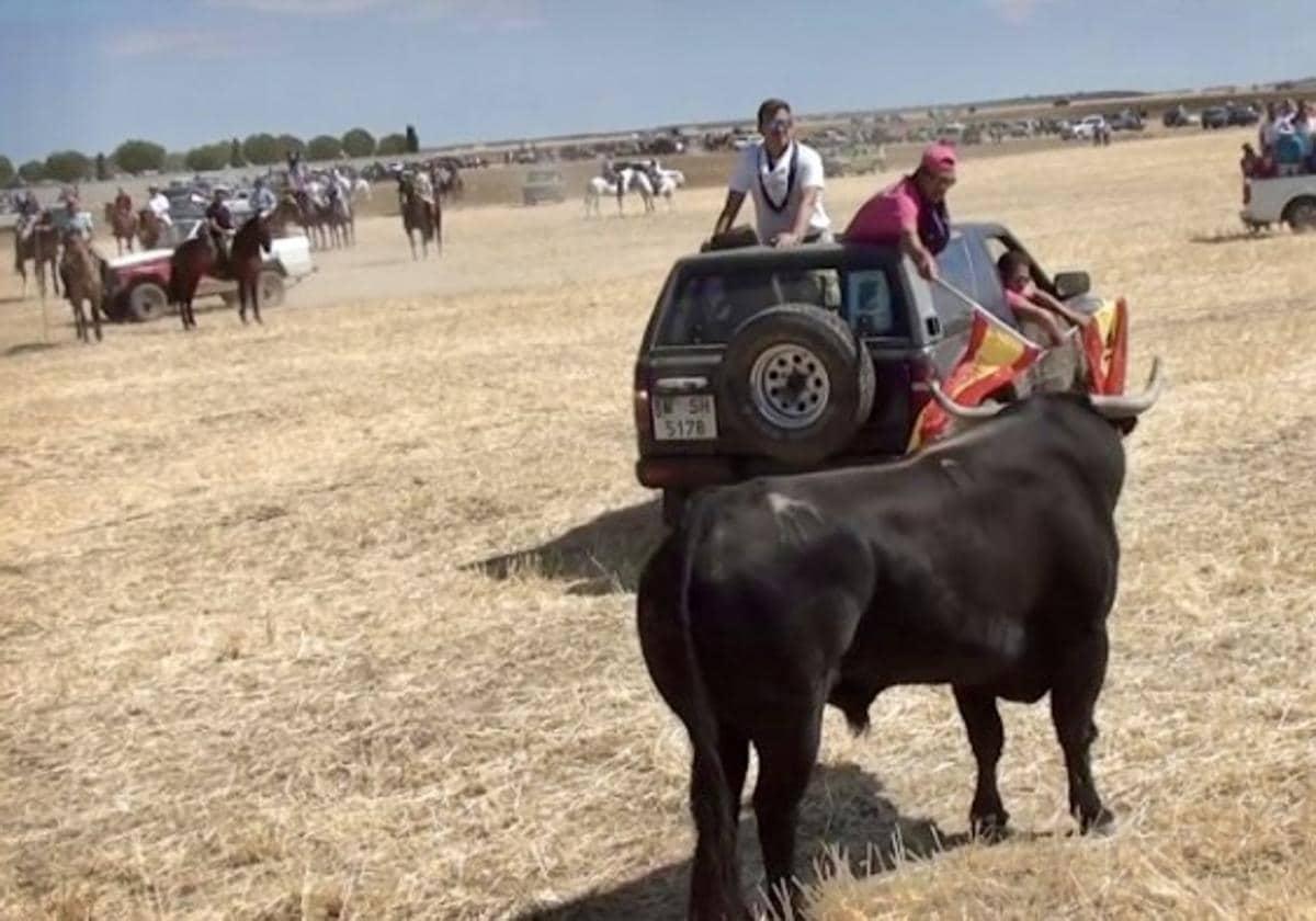 Young man dies after being gored during bull run in Spain