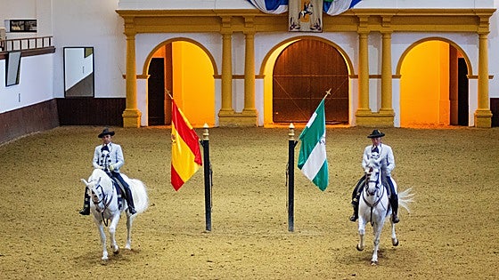 When Andalusian means Spanish