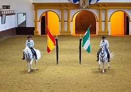 'Andalusian' (Pure Spanish horses).