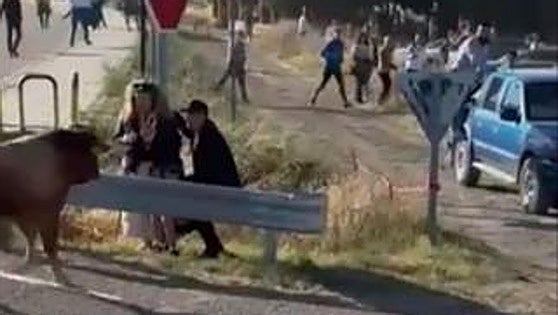 This is the moment an animal escaped from a bull run in Spain and came face-to-face with a young child