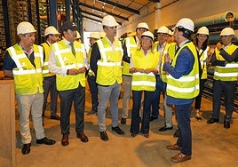 Junta spokesperson Ramón Fernández-Pacheco, together with the president of the Mancomunidad, Manuel Cardeña, the mayor of Marbella, Ángeles Muñoz and other councillors of the Costa del Sol.