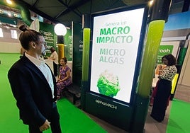 Proposed Respirooh air-purifying microalgae poles.