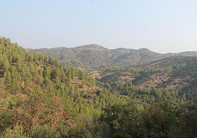 Panoramic view of the public mountain of La Alhajuela.