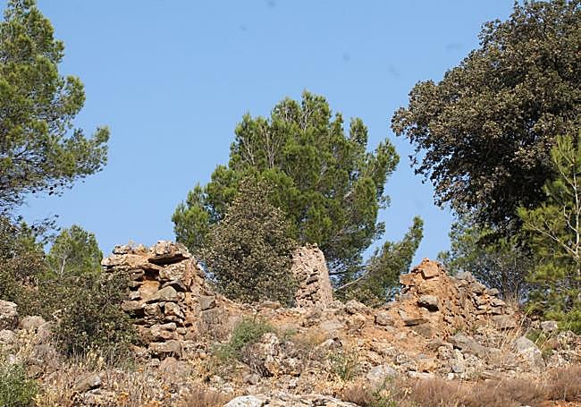 Path running parallel to the Pasarela stream.
