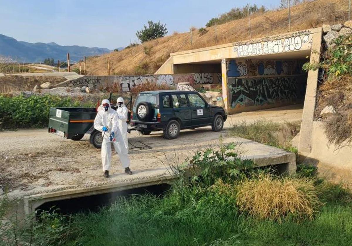 Technicians carry out fumigation work in Alhaurín de la Torre.