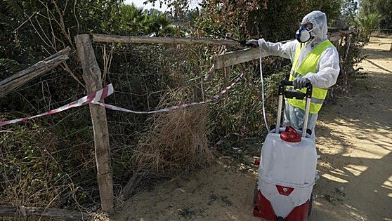 Junta confirms ninth death from West Nile virus in Andalucía