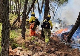 More than 300 jobs up for grabs with Andalucía's forest fire brigade