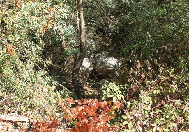 The vegetation makes it difficult to see this spring, which can dry up in summer.