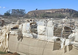 Photo of the abandoned greenhouse in the Vega de Almayate area.